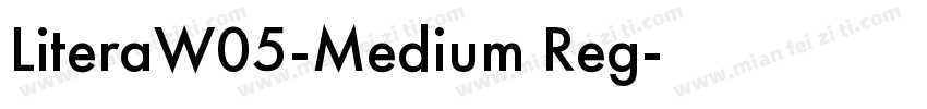LiteraW05-Medium Reg字体转换